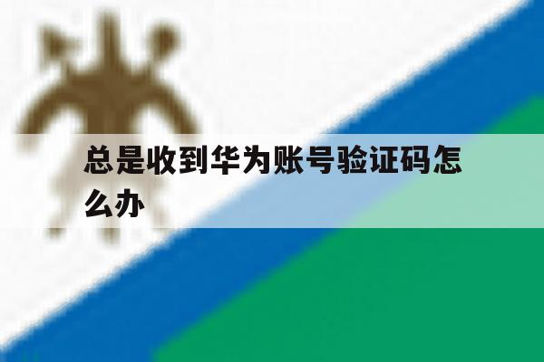 总是收到华为账号验证码怎么办 总是收到华为账号验证码怎么办