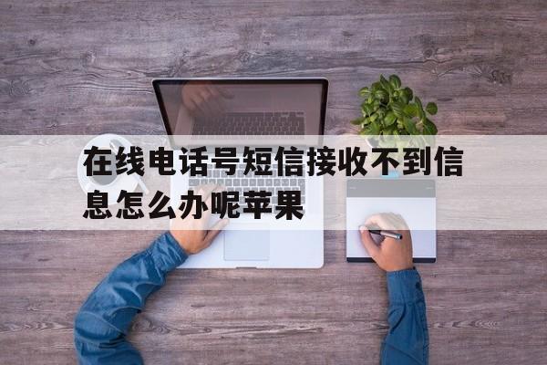 在线电话号短信接收不到信息怎么办呢苹果 在线电话号短信接收不到信息怎么办呢苹果
