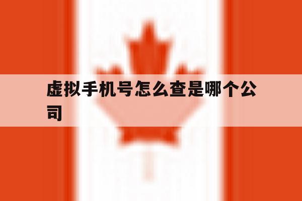 虚拟手机号怎么查是哪个公司 虚拟手机号怎么查是哪个公司