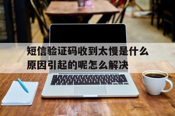包含短信验证码收到太慢是什么原因引起的呢怎么解决的词条 包含短信验证码收到太慢是什么原因引起的呢怎么解决的词条