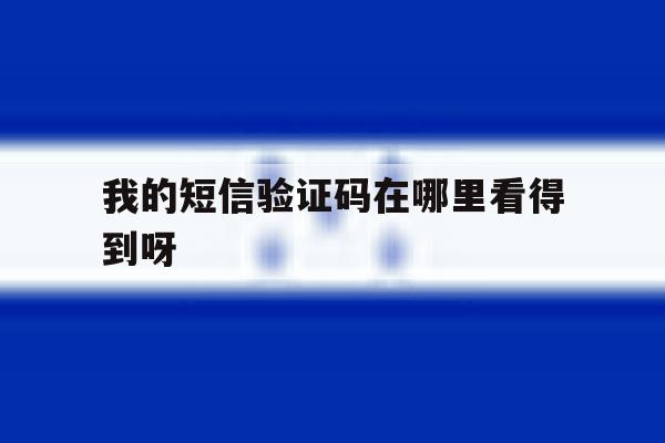 我的短信验证码在哪里看得到呀 我的短信验证码在哪里看得到呀