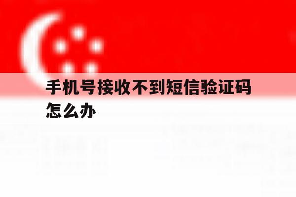 手机号接收不到短信验证码怎么办 手机号接收不到短信验证码怎么办
