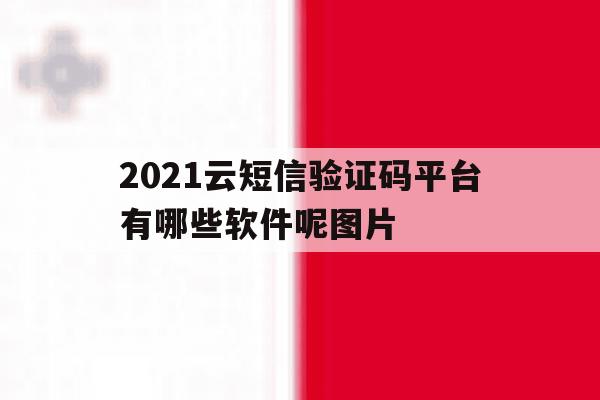 2021云短信验证码平台有哪些软件呢图片 2021云短信验证码平台有哪些软件呢图片