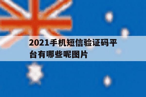 2021手机短信验证码平台有哪些呢图片 2021手机短信验证码平台有哪些呢图片