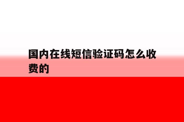 国内在线短信验证码怎么收费的 国内在线短信验证码怎么收费的