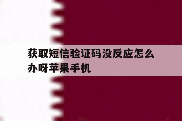 包含获取短信验证码没反应怎么办呀苹果手机的词条 包含获取短信验证码没反应怎么办呀苹果手机的词条