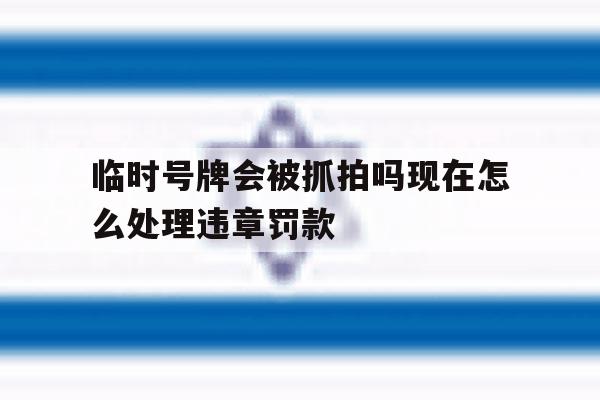 临时号牌会被抓拍吗现在怎么处理违章罚款 临时号牌会被抓拍吗现在怎么处理违章罚款