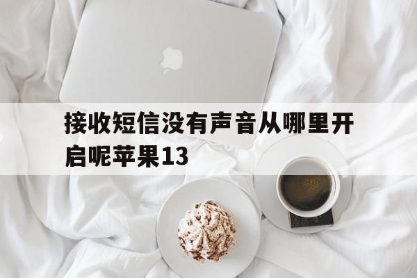 关于接收短信没有声音从哪里开启呢苹果13的信息 关于接收短信没有声音从哪里开启呢苹果13的信息