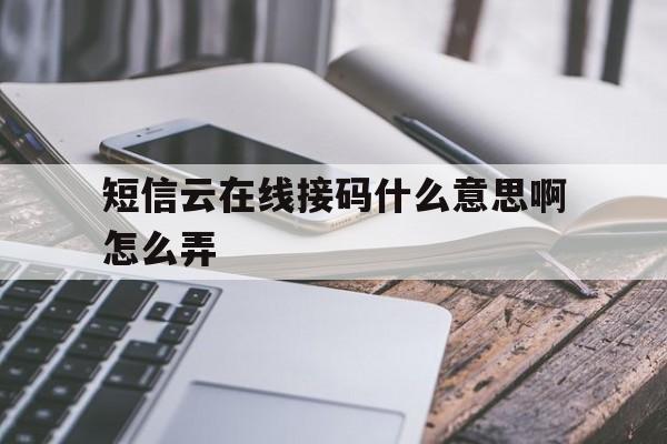 短信云在线接码什么意思啊怎么弄 短信云在线接码什么意思啊怎么弄