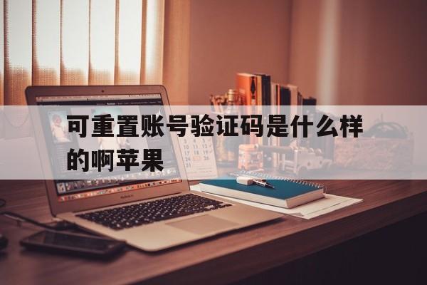 可重置账号验证码是什么样的啊苹果 可重置账号验证码是什么样的啊苹果
