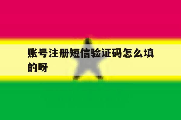 账号注册短信验证码怎么填的呀 账号注册短信验证码怎么填的呀