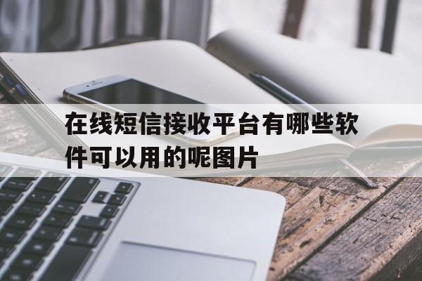 在线短信接收平台有哪些软件可以用的呢图片 在线短信接收平台有哪些软件可以用的呢图片