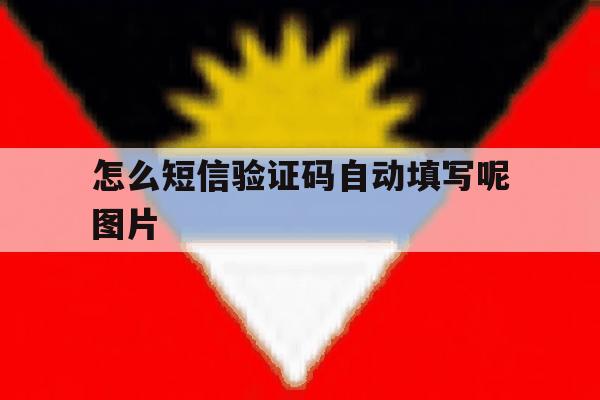 怎么短信验证码自动填写呢图片 怎么短信验证码自动填写呢图片
